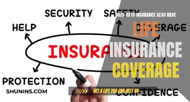 Auto Insurance: Uncovering the Truth About Life Insurance Coverage