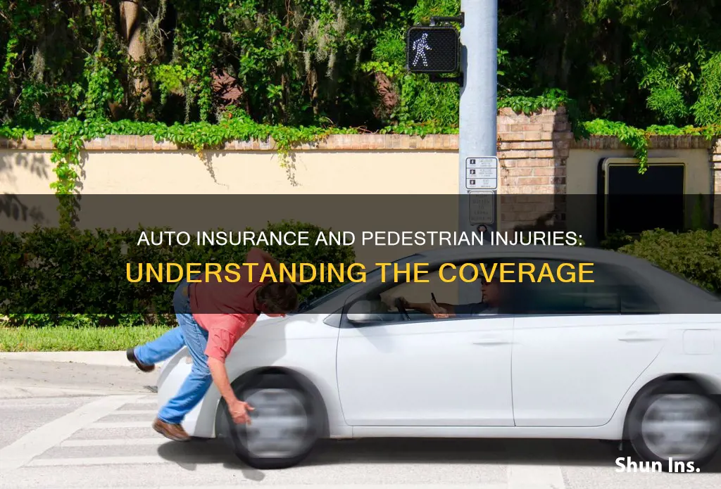 does auto insurance apply to pedestrian injured