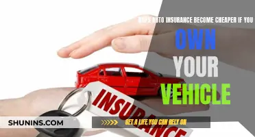 Auto Insurance: The Owner's Advantage