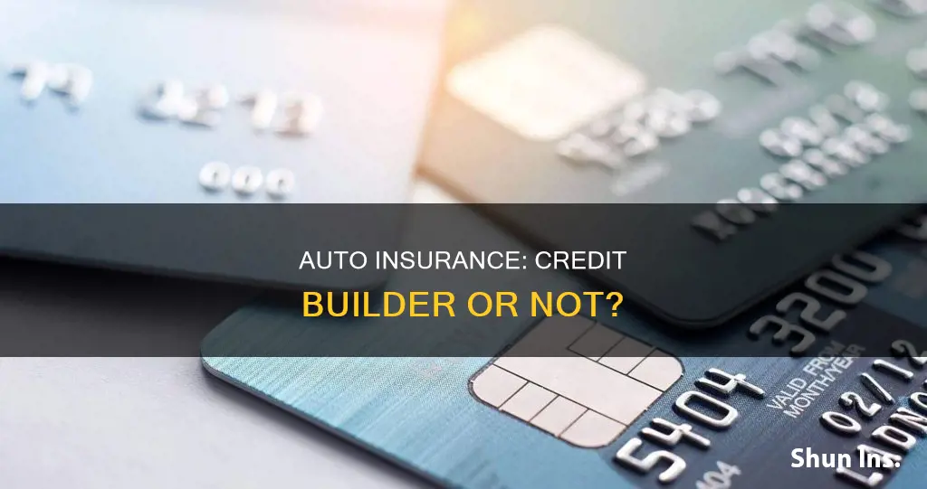 does auto insurance build credit