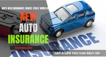 Switching Auto Insurance: The Art of a Smooth Transition