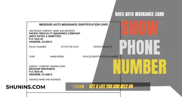 Auto Insurance Cards: Phone Numbers and Privacy Concerns