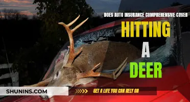 Comprehensive Auto Insurance: Deer Collisions and Coverage