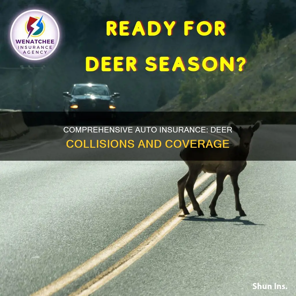 does auto insurance comprehensive cover hitting a deer