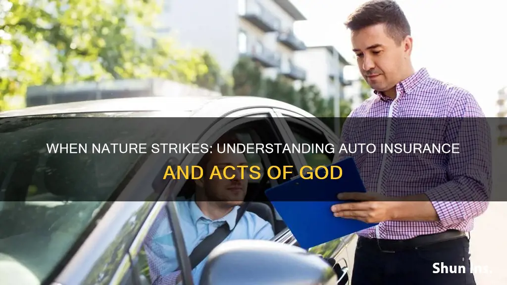 does auto insurance cover acts of god