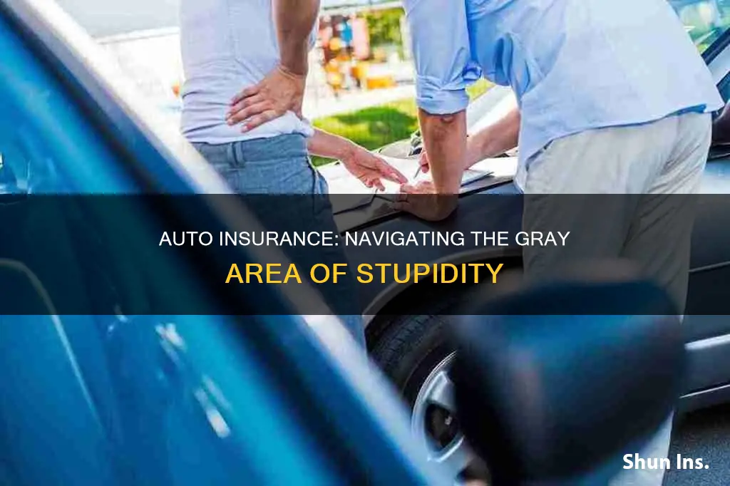 does auto insurance cover acts of stupidity