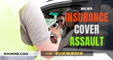 Does Auto Insurance Cover Assault?