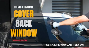 Back Window Damage: What Your Auto Insurance Covers