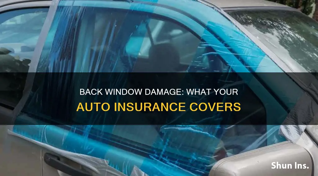 does auto insurance cover back window