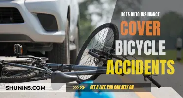 Auto Insurance: Bicycle Accident Coverage?