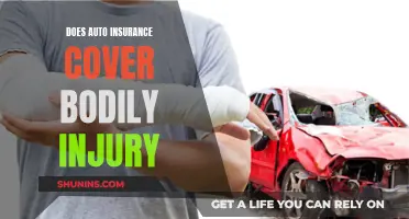 Auto Insurance and Bodily Injury: Understanding the Coverage