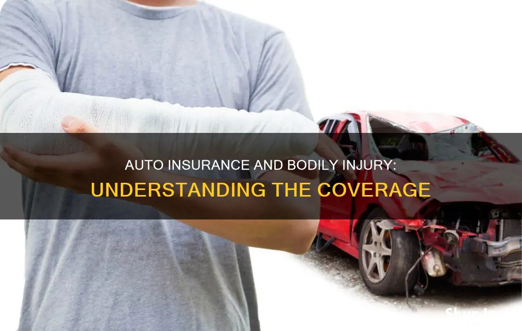 does auto insurance cover bodily injury