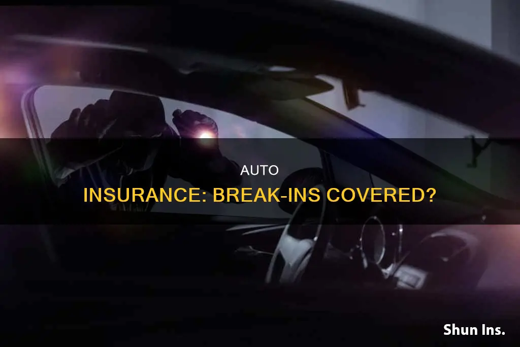 does auto insurance cover break ins