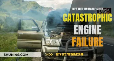 Catastrophic Engine Failure: Are You Covered by Auto Insurance?