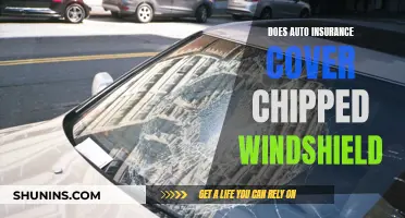 Chipped Windshield Conundrum: Does Auto Insurance Have You Covered?