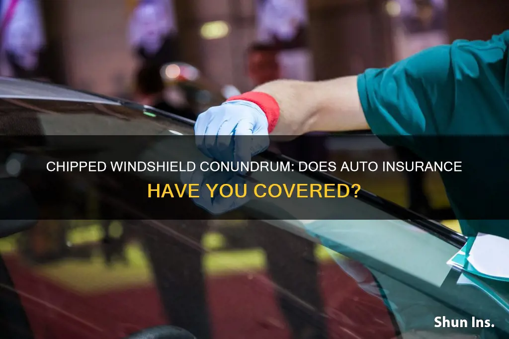 does auto insurance cover chipped windshield