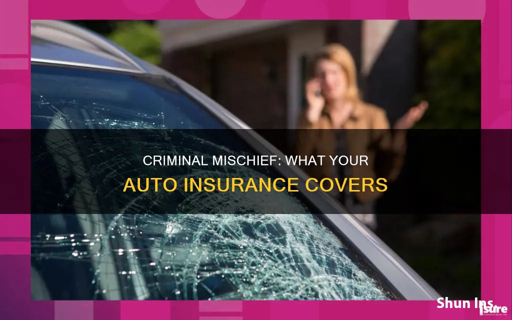 does auto insurance cover criminal mischeif