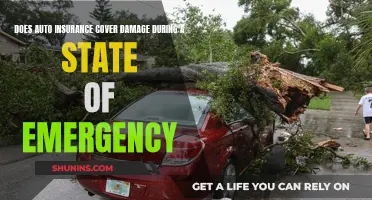 Auto Insurance and State of Emergencies: What's Covered?