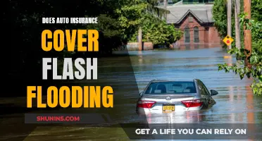 Does Auto Insurance Protect Against Flash Floods?