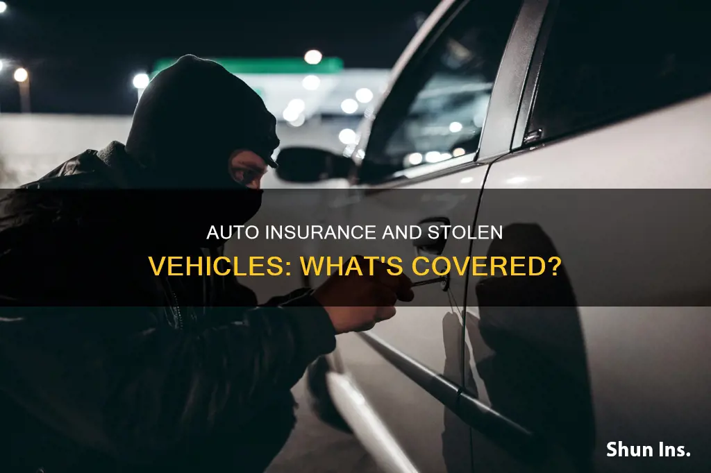 does auto insurance cover for vehocles stolen