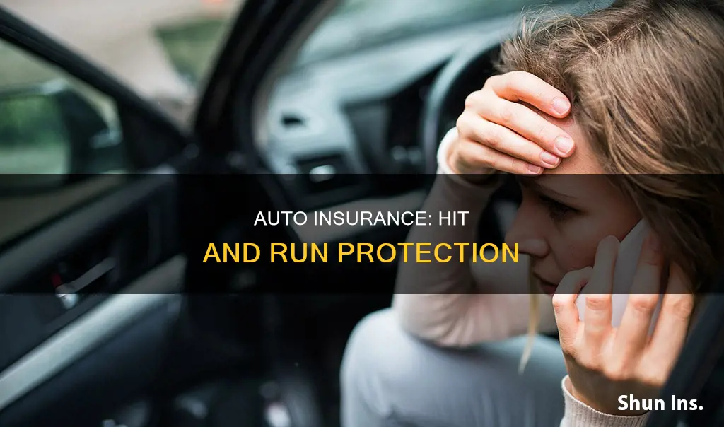 does auto insurance cover hit and run