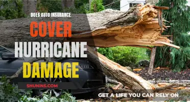 Auto Insurance: Hurricane Damage Covered?