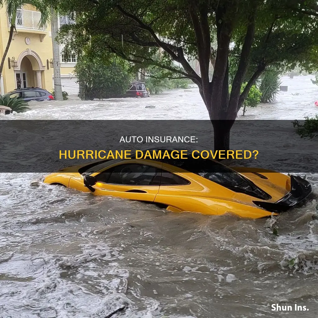 does auto insurance cover hurricane damage