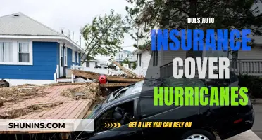 Auto Insurance and Hurricanes: What You Need to Know