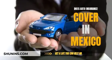 Does Your Auto Insurance Cover You in Mexico?