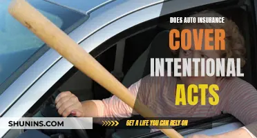 Auto Insurance and Intentional Acts: What's Covered?