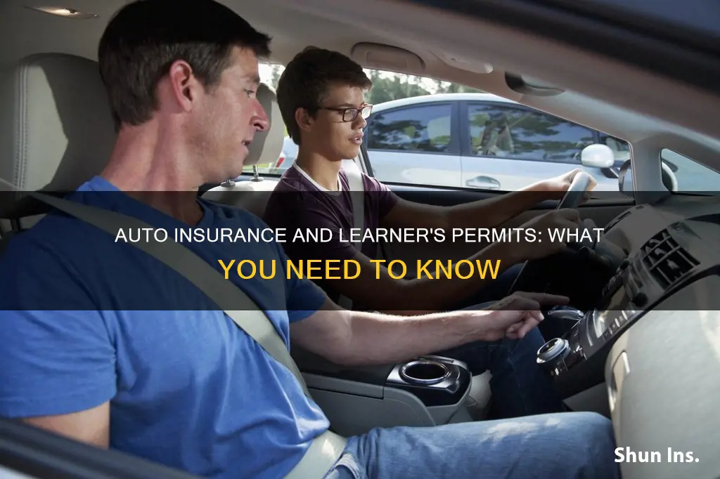 does auto insurance cover my son with a learners permit