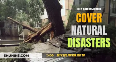 Auto Insurance: Natural Disaster Coverage?