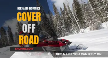 Does Your Auto Insurance Cover Off-Road Adventures?