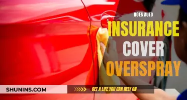 Auto Insurance Overspray: What's Covered and What's Not