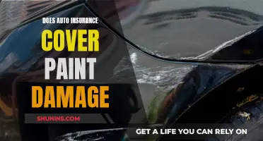 Auto Insurance and Paint Damage: What's Covered?