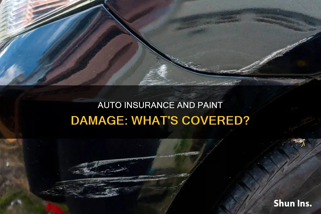 does auto insurance cover paint damage