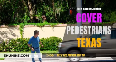 Texas Auto Insurance: Understanding Pedestrian Coverage