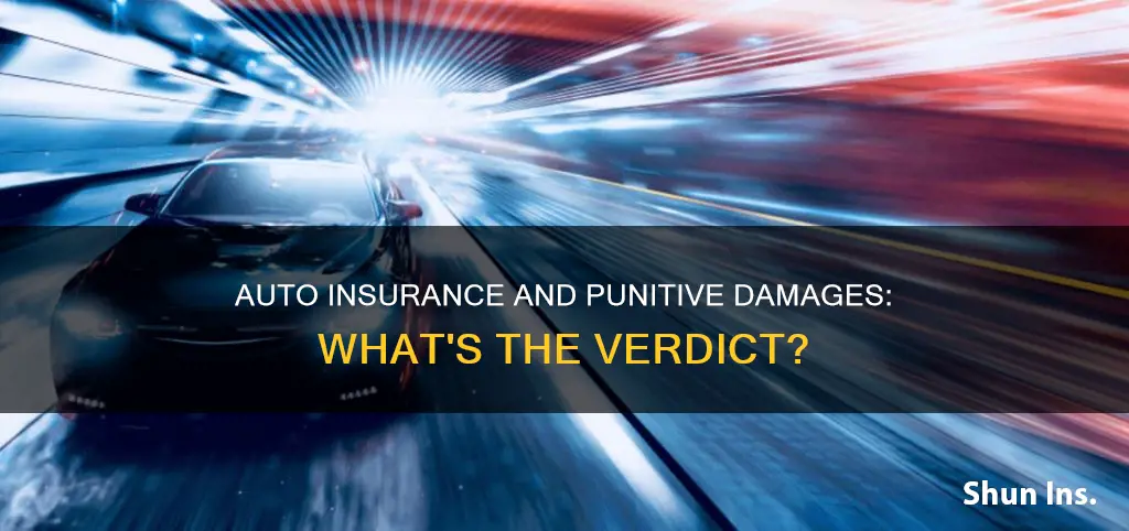 does auto insurance cover punitive damages