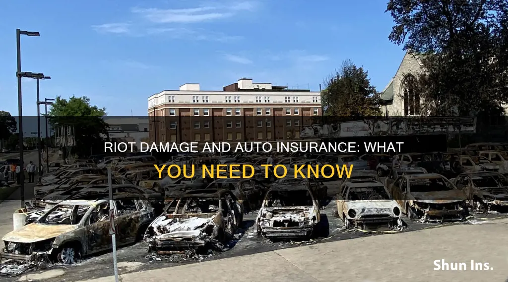 does auto insurance cover riot damage