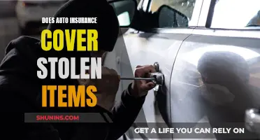 Auto Insurance: Stolen Item Coverage