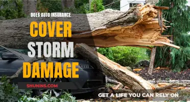 Auto Insurance and Storm Damage: What You Need to Know