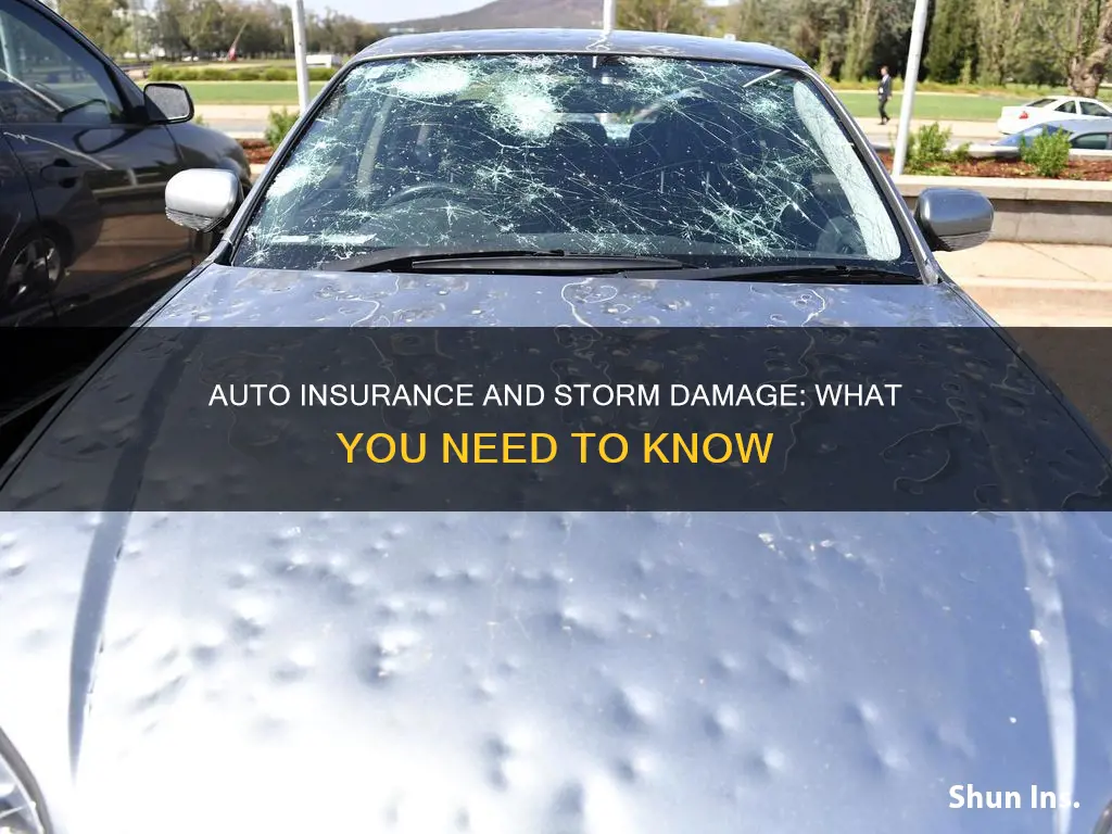 does auto insurance cover storm damage