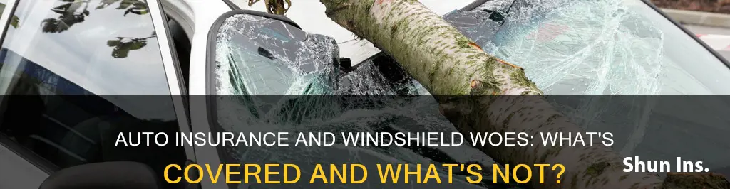 does auto insurance cover swindshield repairs