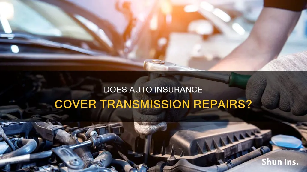 does auto insurance cover transmission