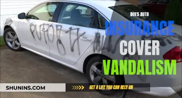 Vandalism: Is Your Car Covered?