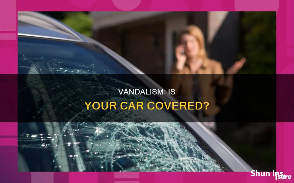 does auto insurance cover vandalism