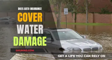 Auto Insurance: Water Damage Covered?