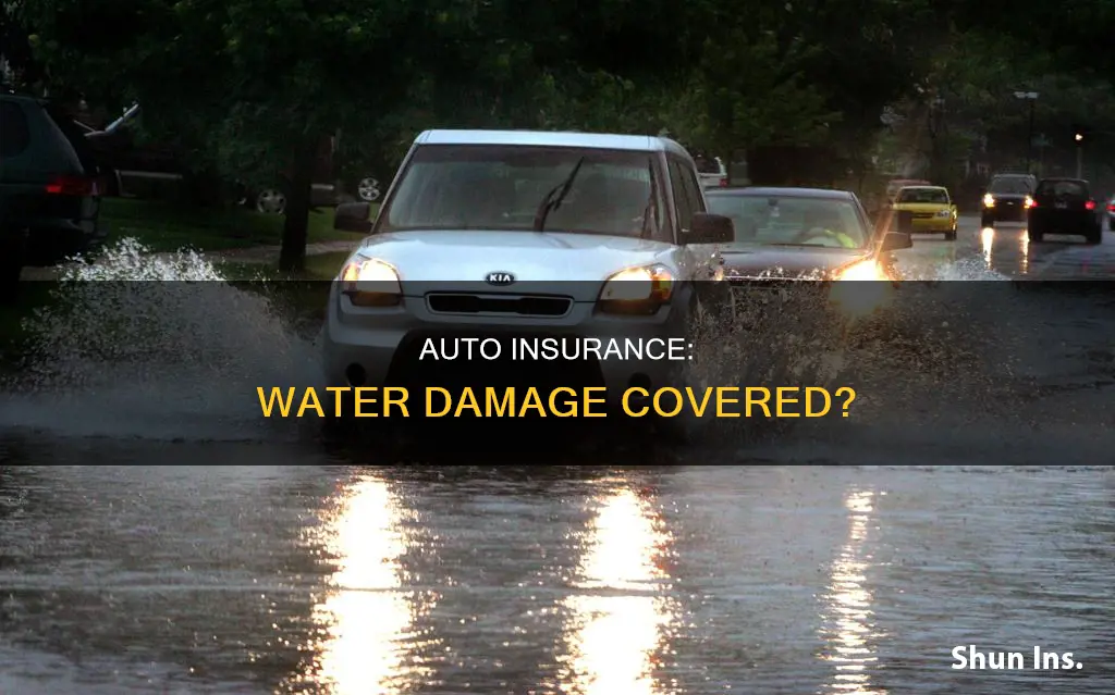 does auto insurance cover water damage