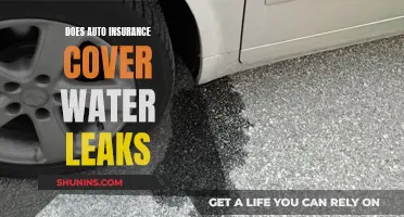 Auto Insurance and Water Leaks: What You Need to Know