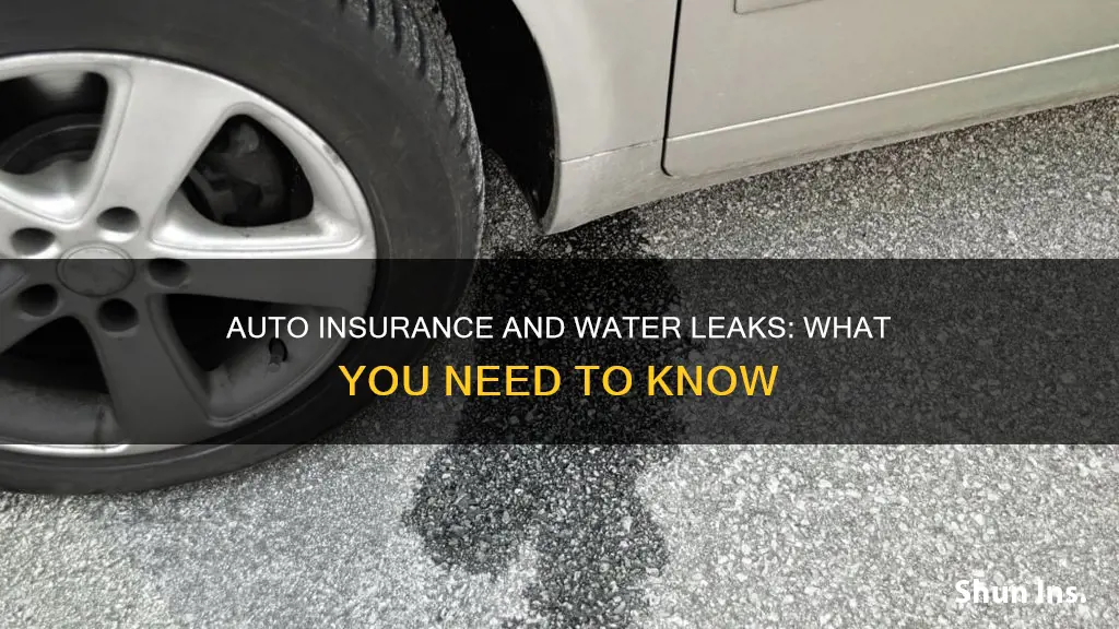 does auto insurance cover water leaks